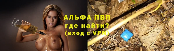 молекула духа Алексин