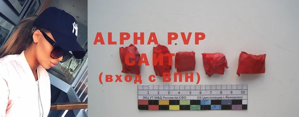 эйфоретик Дмитров