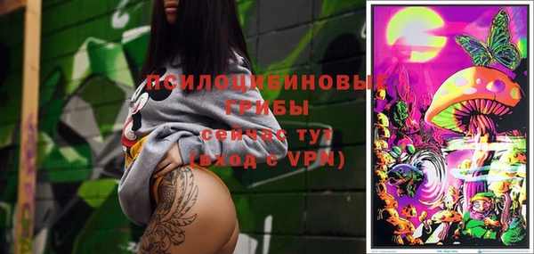 молекула духа Алексин