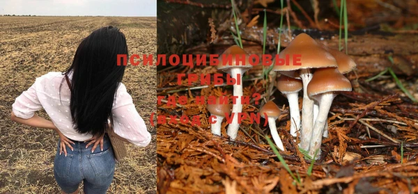 молекула духа Алексин