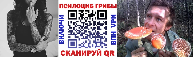 blacksprut ссылка  Туймазы  Галлюциногенные грибы Psilocybine cubensis  как найти наркотики 