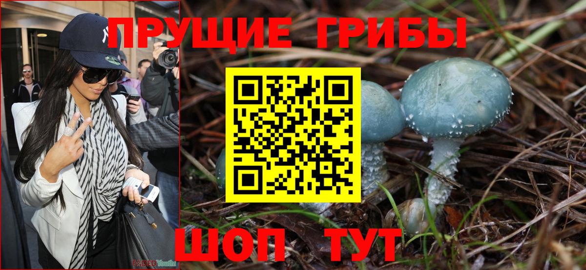 Галлюциногенные грибы Magic Shrooms  где купить   Галлюциногенные грибы Magic Shrooms  Туймазы  Вход с VPN 