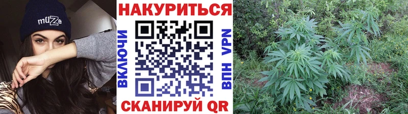 наркотики Туймазы МАРИХУАНА индика